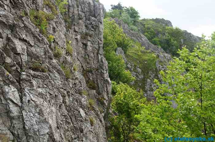 Kršlenica