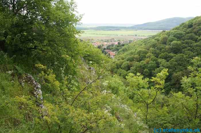 Pohľad od hradiska Molpír. Dolina Hlboča - smer Smolenice