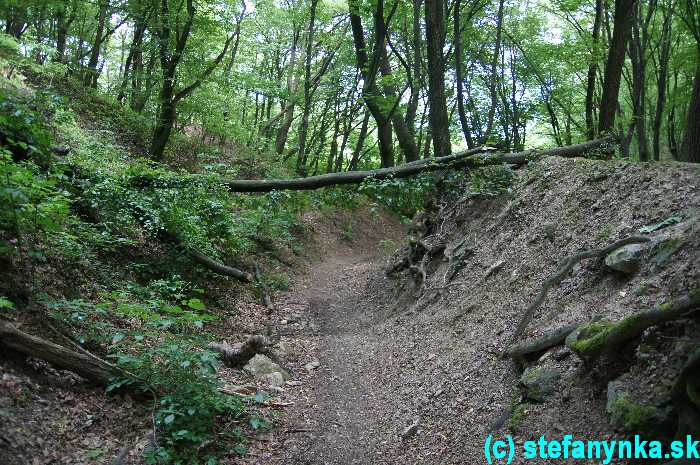 Pokračovanie tobogánu od hradu Biely kameň do svätého Jura