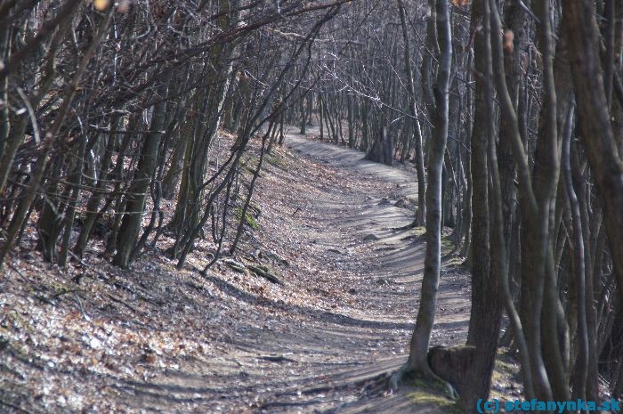 Stupava - cesta od Obory na Pajštún