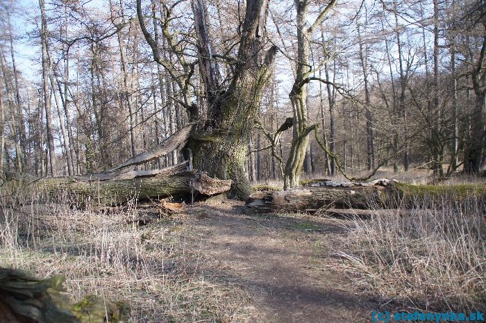 Od Pajštúna na Kozlisko