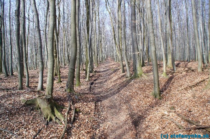 Od Pajštúna na Kozlisko