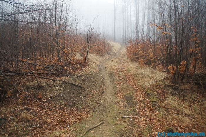 Pod sedlom Javorina na červenej značke