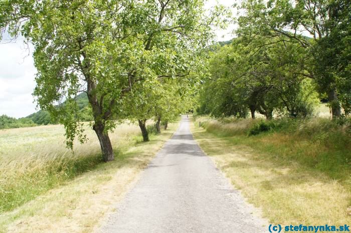 Cesta z Plaveckého Podhradia na Plavecký hrad