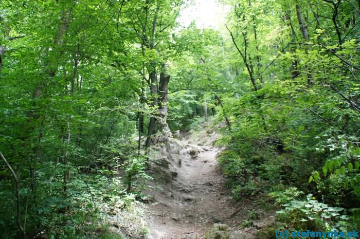 Cesta z Plaveckého Podhradia na Plavecký hrad