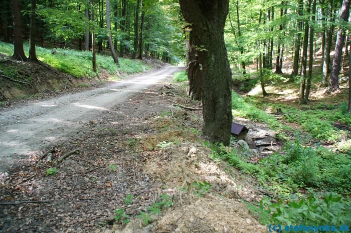 Studnička nad Sklenou hutou