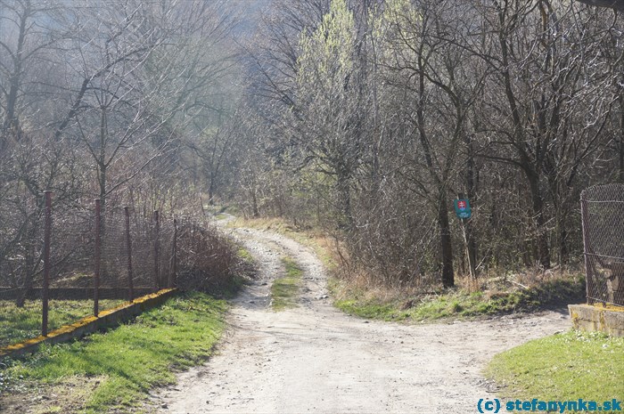 Plavecké Podhradie - cesta vpravo na Vápennú