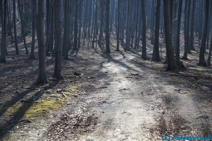 Pod Vápennou - žltá značka na Vápennú (Roštún) viedla zo stredu obrázka doprava šikmo hore