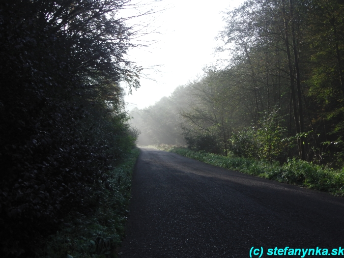 Cesta z Brehov smerom na Šlosberg