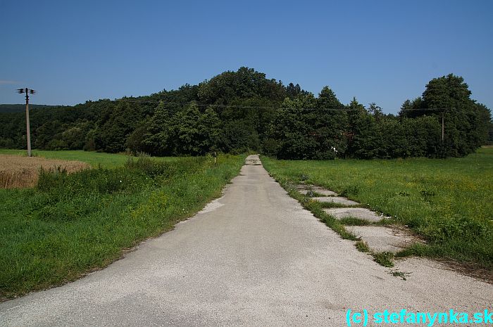 Od križovatky k samote Zimáci. Hranica ide rovno hore, červená značka zatáča mierne doprava a vedie po Českom území.