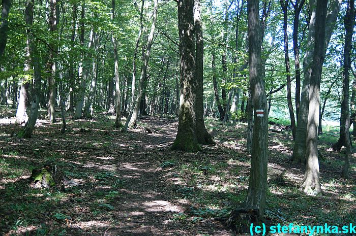 Cesta M. Kudeříkové z Vrboviec do sedla U Tří kamenú