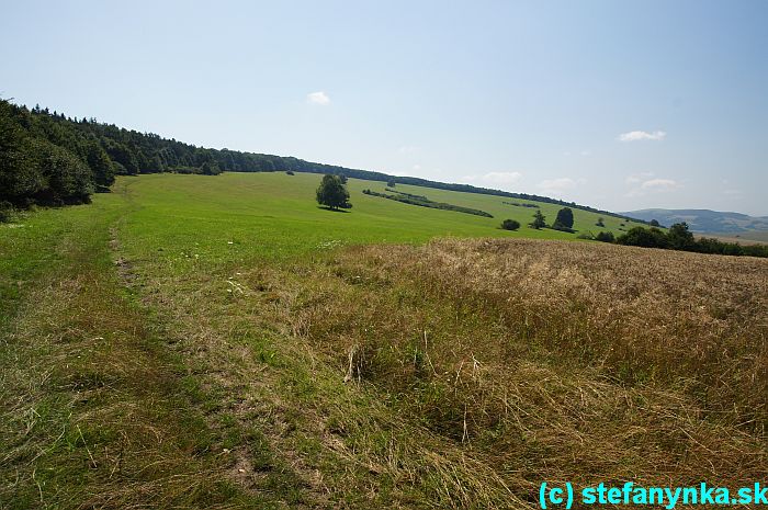 Pohľad smerom k sedlu U troch kameňov. Tu našťastie kosená lúka a traktorová stopa pomáhali udržiavať chodník