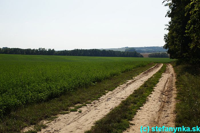 Cesta od Salaša do Skalice (vpravo za kopčekom, mimo záber)