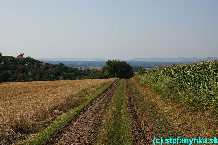 Okolo kukuričného poľa do Skalice