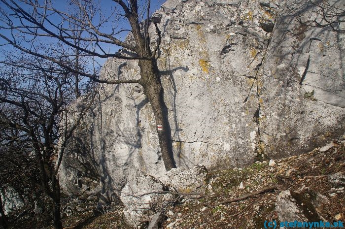 Od Zárub na Ostrý kameň