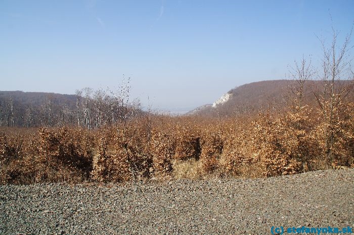 Kršlenica a Plavecký Mikuláš (v dolinke)