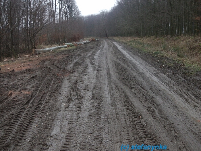 Lesnícky tankodrom nad Lozornom