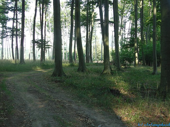 Od Skalky k Sklenému vrchu