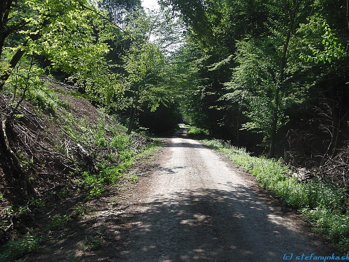 Červenou po Sološníckej doline smerom na sedlo Skalka