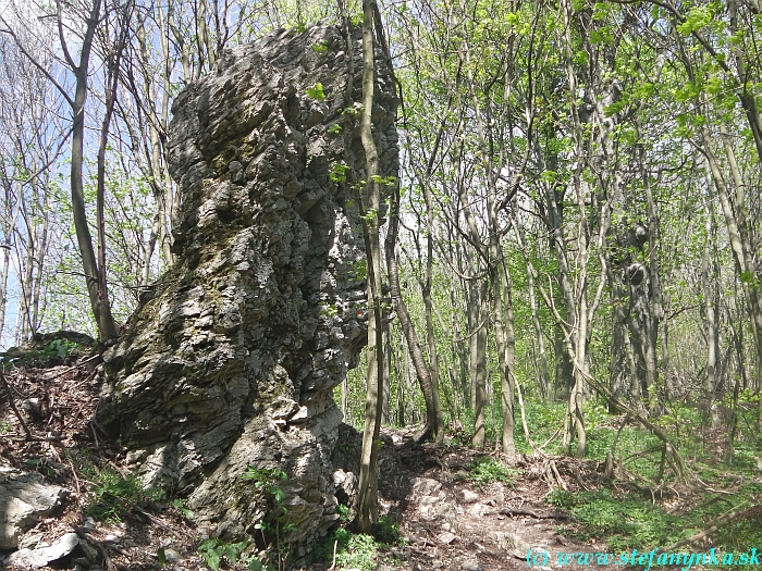 Skaliny Skaliny