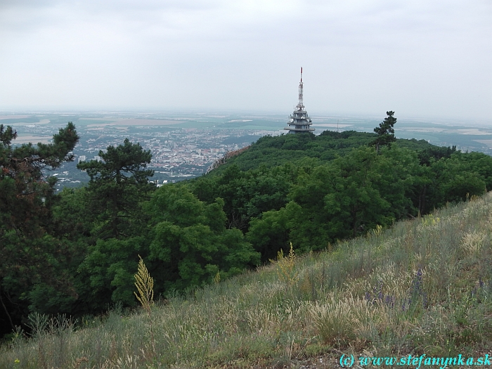 Zobor