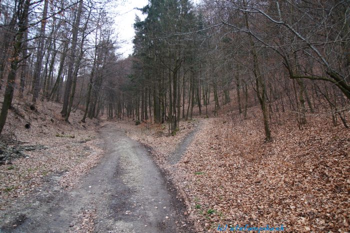 Hradište pod Vrátnom