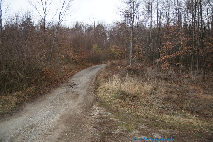 Dlhé Rovne - tentoraz palec hore pre značenie v okolí chaty