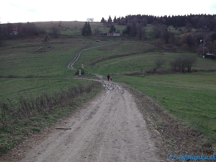 Lopenícke sedlo - zelená na Veľký Lopeník pokračovala od rozcestníku šikmo vpravo hore (dalo sa aj tou cestou popod dom)