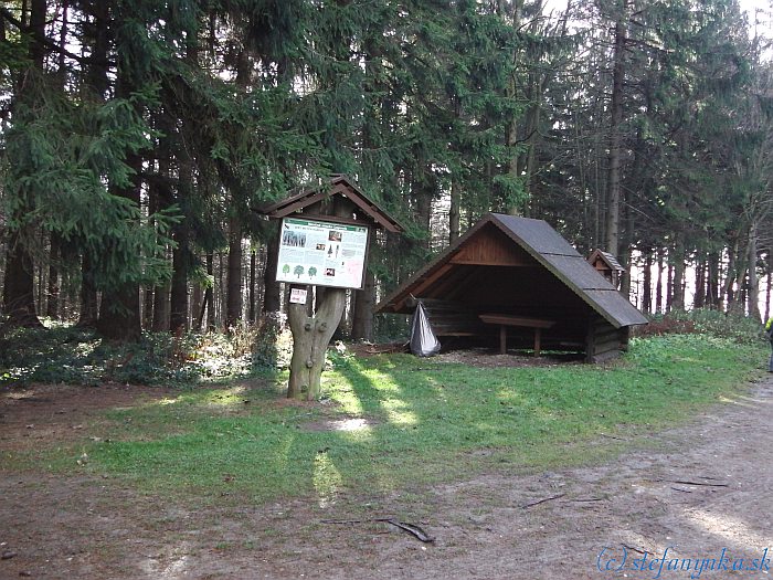 Pod Malým Lopeníkem