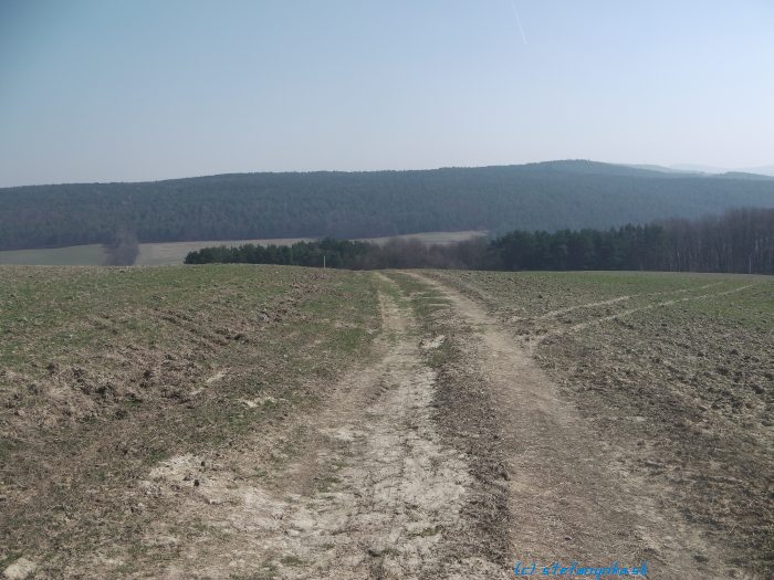 Od Bašnárovcov do Brezovej