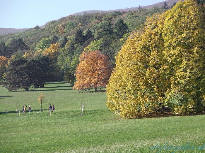 Smolenice - park