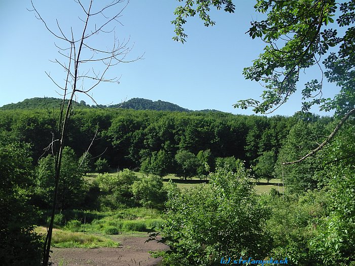 Pohľad na Vysokú - to je ten tretí kopček zľava, kúsok pred konárom nad horizontom