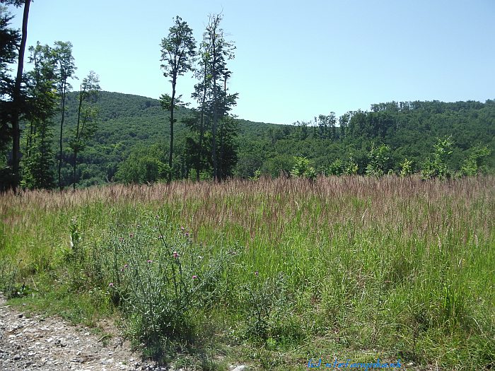 Zo Sklenej huty na Zabité - Sklený vrch vľavo