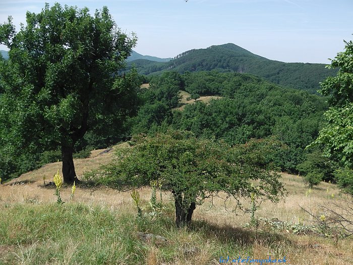 Klokoč - pohľad na Vápennú (Roštún)