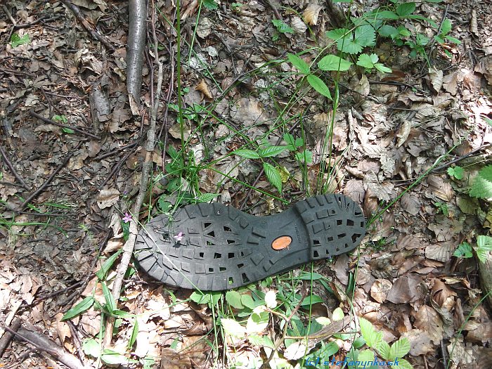 Odborníci odporúčajú nosiť na turistiku podrážku Vibram. Či ju odporúčajú nosiť aj domov - neviem 