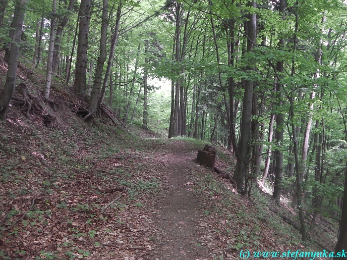 Od Žakýlskeho hradu na hrad Šášov