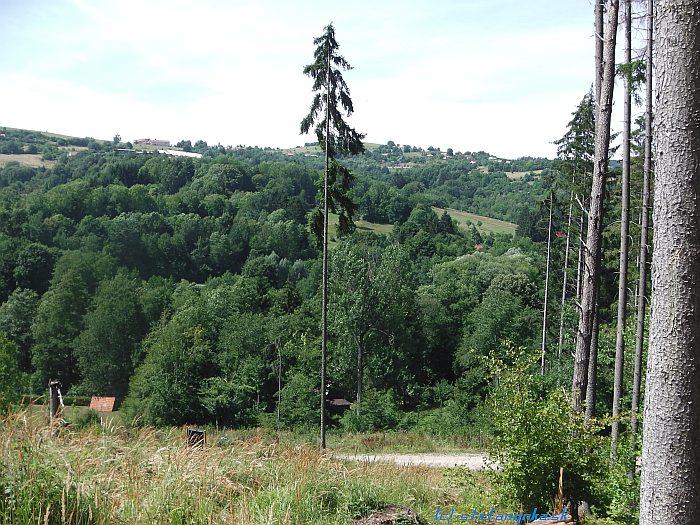 Pohľad späť. Chodník viedol približne od tej chatičky za stromom v strede rovno hore. Vďaka rúbanisku som to obchádzal mierne vľavo (na fotke doprave pred prvým stromomna pravej strane obrazu)