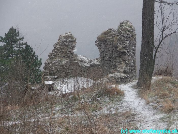 Vršatský hrad