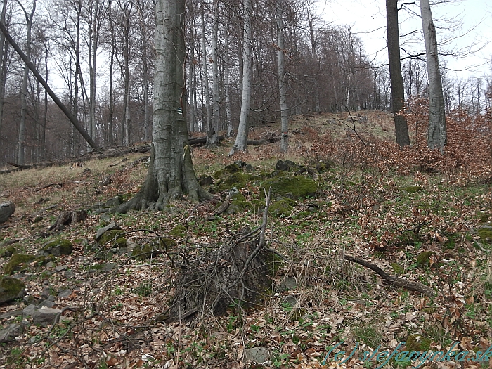 Na Priesil, alebo vzhúru do bezvědomí, ako hovoria bratia Češi