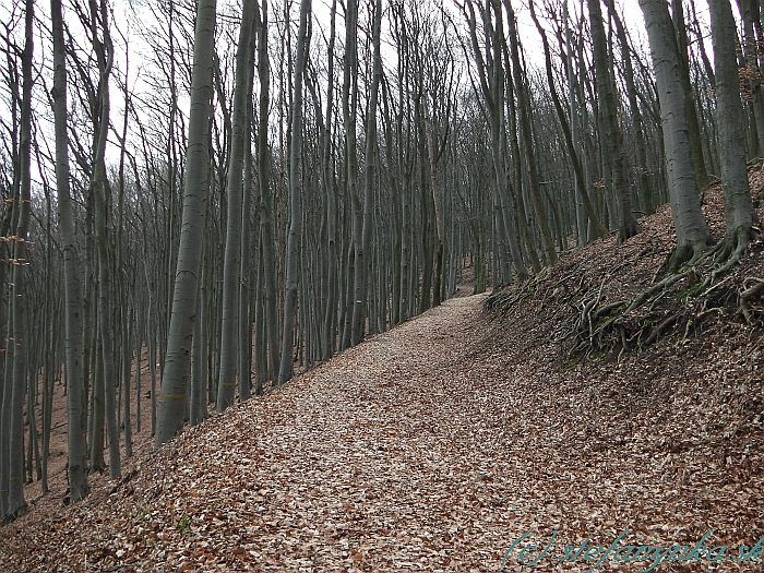 Cestou na Roštún