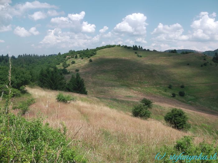 Pri Kanderke - pohľad späť. Dole v strede fotky začína náznak chodníka, pokračuje doľava hore ku kríku, odtiaľ mierne doprava, pokračuje vpravo od ihličňanu, rovno hore a neskôr oblúkom doprava do sedielka (s kopcom v pozadí)