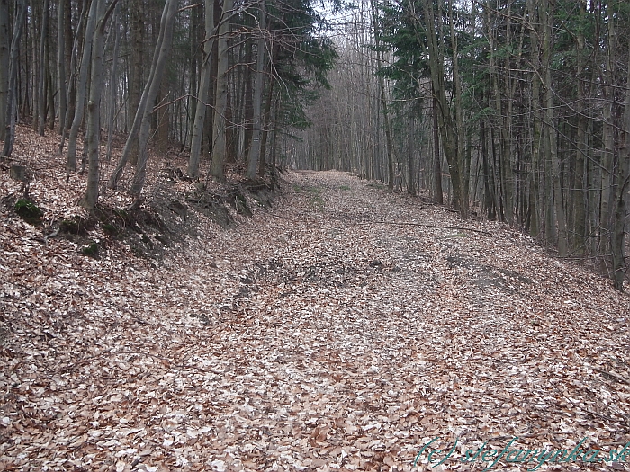 Vlčí vrch