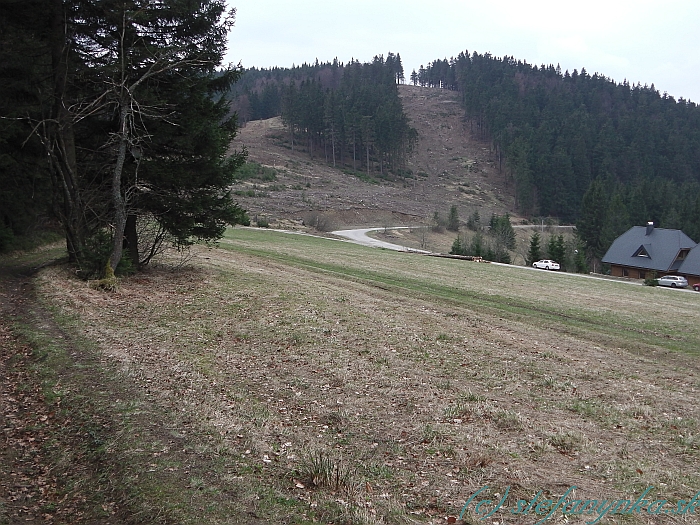 Pohľad naspäť na Butorky (za stromom vľavo). Chodník viedol až na kopec a ďalej až na Veľký Javorník. Prameň je mierne vľavo od ohybu cesty. Odtiaľto ten priesek vyzerá ako základ budúcej zjazdovky