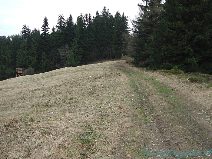 Butorky - pokračovanie červenej