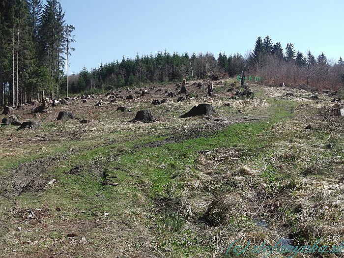 Pred sedlom Radošov