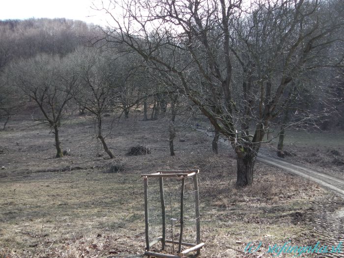 Sklená Huta - lúka i okolie potoka boli vyčistené