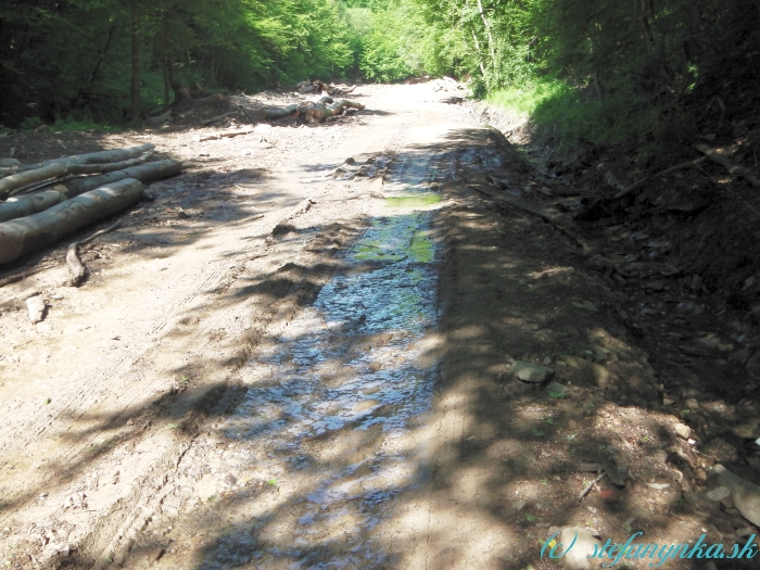 Brúsne - rozbahnená dolina nad poslednými domami