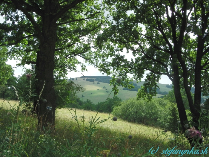 Ostrý vrch