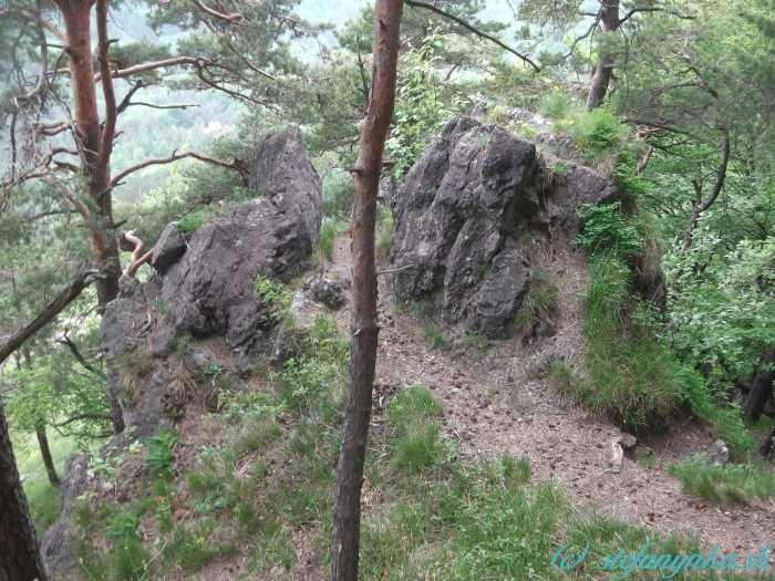 Sokolovica - vyhliadka