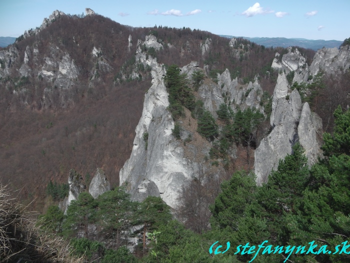 Brada. A ešte hľadaj orla